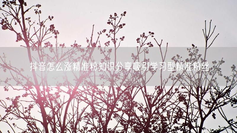 抖音怎么涨精准粉知识分享吸引学习型精准粉丝