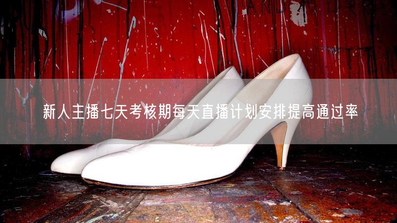 新人主播七天考核期每天直播计划安排提高通过率