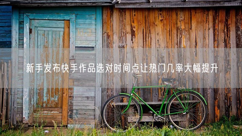 新手发布快手作品选对时间点让热门几率大幅提升