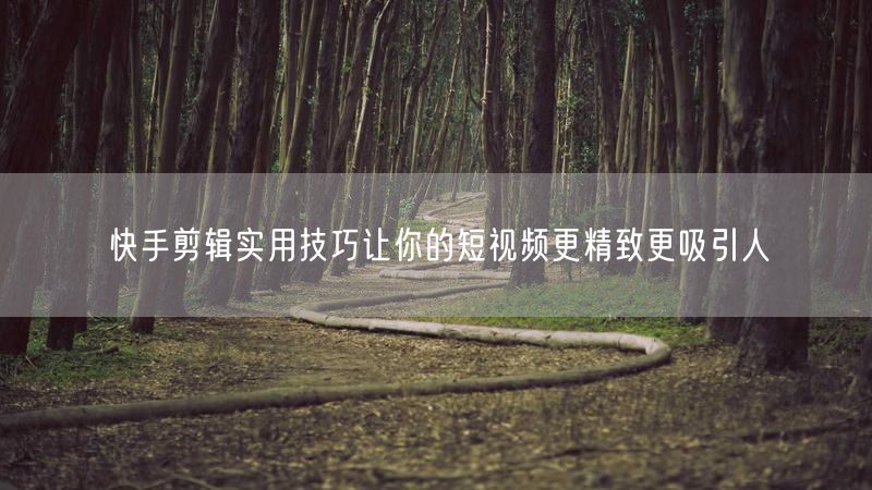 快手剪辑实用技巧让你的短视频更精致更吸引人