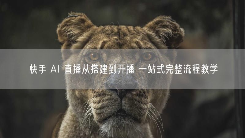 快手 AI 直播从搭建到开播 一站式完整流程教学