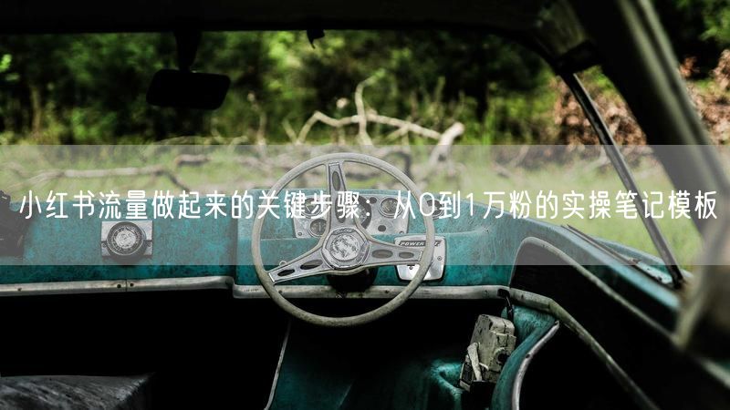 小红书流量做起来的关键步骤：从0到1万粉的实操笔记模板