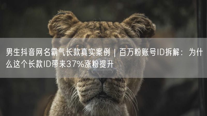 男生抖音网名霸气长款真实案例｜百万粉账号ID拆解：为什么这个长款ID带来37%涨