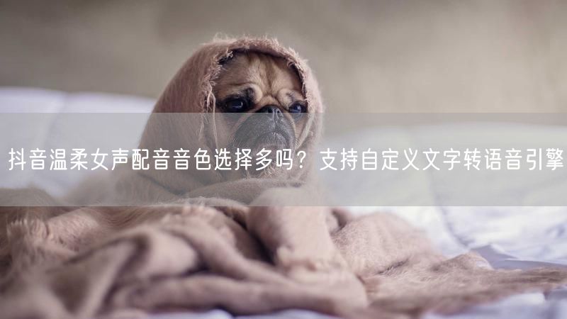 抖音温柔女声配音音色选择多吗？支持自定义文字转语音引擎