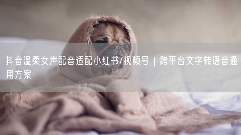 抖音温柔女声配音适配小红书/视频号｜跨平台文字转语音通用方案