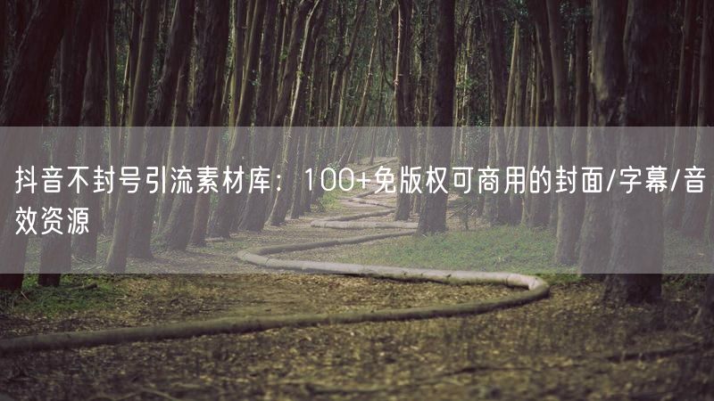 抖音不封号引流素材库：100+免版权可商用的封面/字幕/音效资源