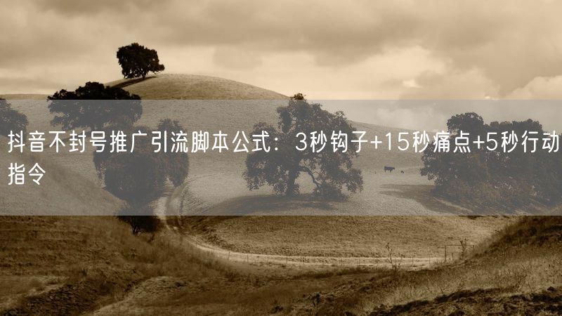 抖音不封号推广引流脚本公式：3秒钩子+15秒痛点+5秒行动指令