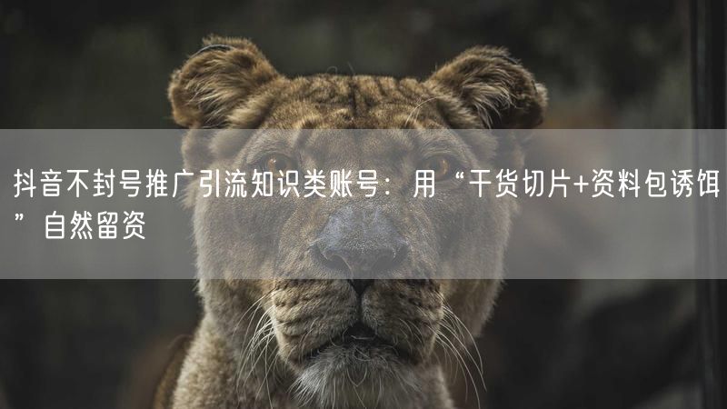 抖音不封号推广引流知识类账号：用“干货切片+资料包诱饵”自然留资