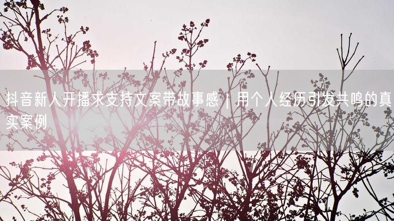 抖音新人开播求支持文案带故事感｜用个人经历引发共鸣的真实案例