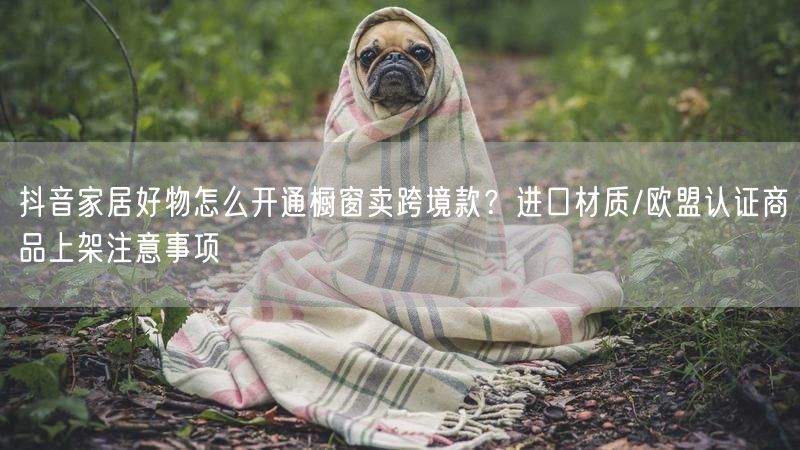 抖音家居好物怎么开通橱窗卖跨境款？进口材质/欧盟认证商品上架注意事项