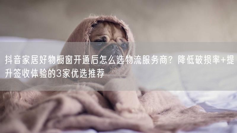 抖音家居好物橱窗开通后怎么选物流服务商？降低破损率+提升签收体验的3家优选推荐