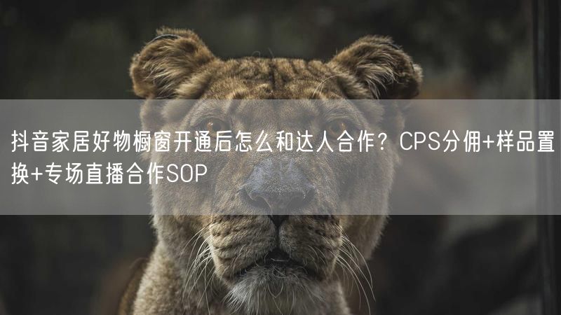 抖音家居好物橱窗开通后怎么和达人合作？CPS分佣+样品置换+专场直播合作SOP