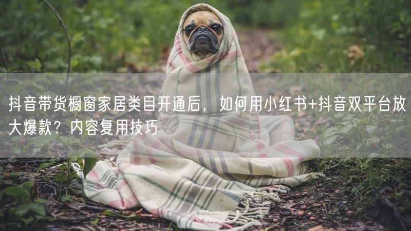 抖音带货橱窗家居类目开通后，如何用小红书+抖音双平台放大爆款？内容复用技巧