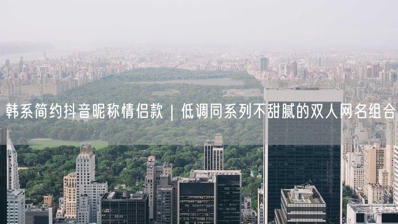 韩系简约抖音昵称情侣款｜低调同系列不甜腻的双人网名组合