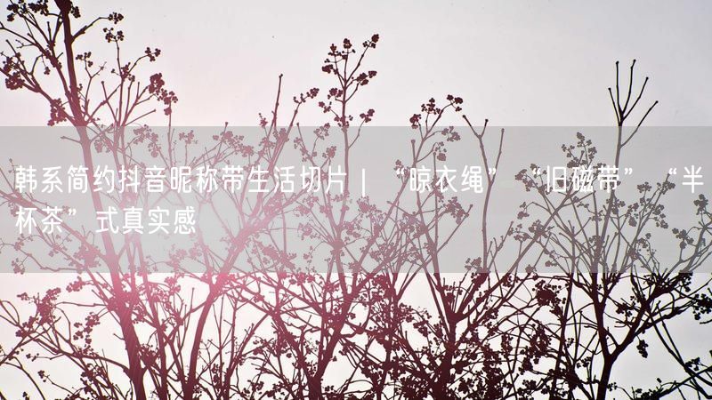 韩系简约抖音昵称带生活切片｜“晾衣绳”“旧磁带”“半杯茶”式真实感