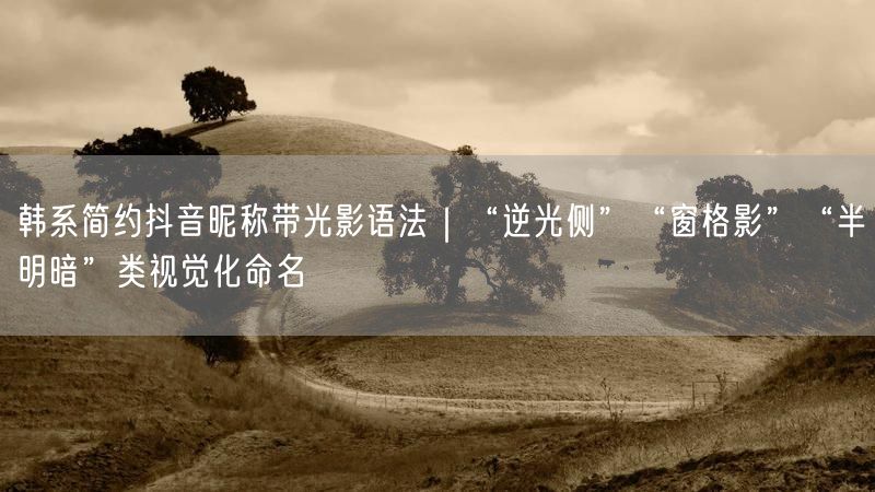 韩系简约抖音昵称带光影语法｜“逆光侧”“窗格影”“半明暗”类视觉化命名