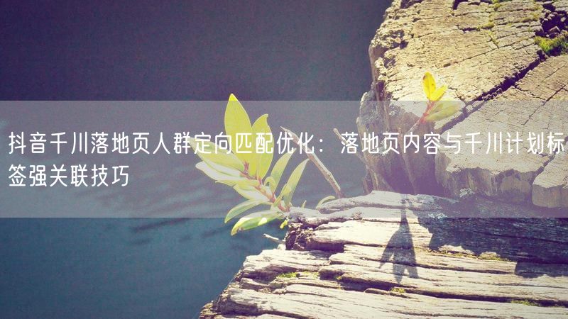 抖音千川落地页人群定向匹配优化：落地页内容与千川计划标签强关联技巧