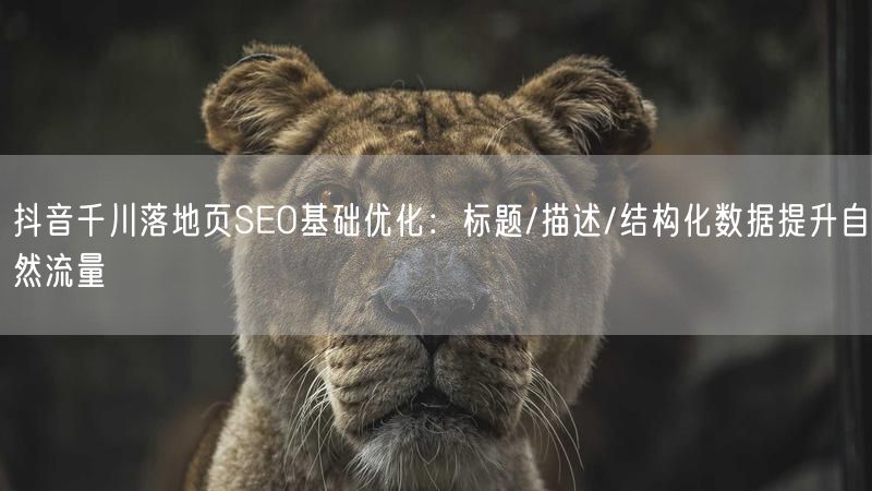 抖音千川落地页SEO基础优化：标题/描述/结构化数据提升自然流量