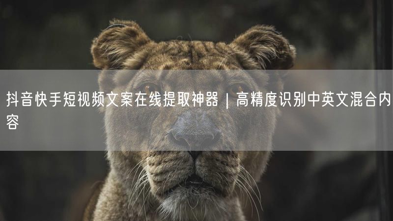 抖音快手短视频文案在线提取神器｜高精度识别中英文混合内容