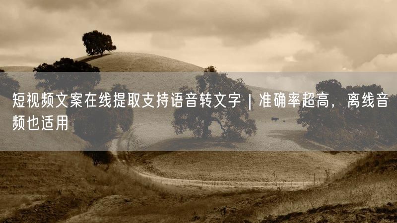 短视频文案在线提取支持语音转文字｜准确率超高，离线音频也适用