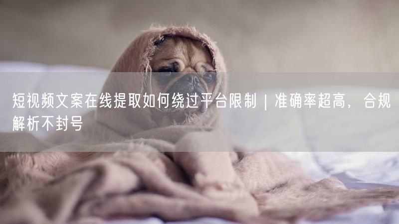 短视频文案在线提取如何绕过平台限制｜准确率超高，合规解析不封号