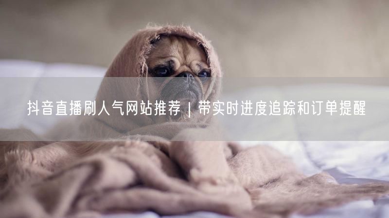抖音直播刷人气网站推荐｜带实时进度追踪和订单提醒