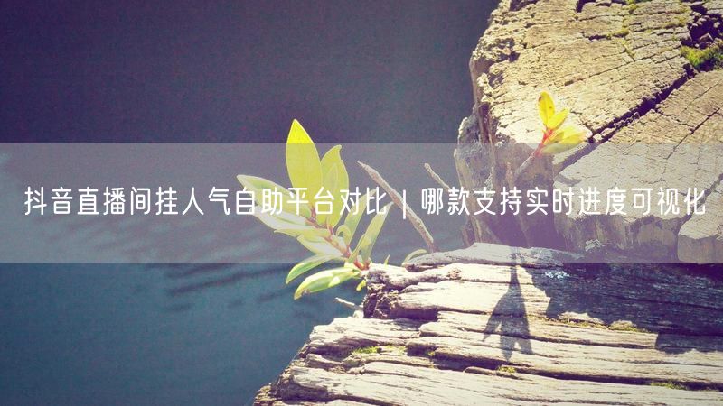 抖音直播间挂人气自助平台对比｜哪款支持实时进度可视化