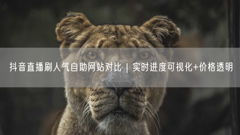 抖音直播刷人气自助网站对比｜实时进度可视化+价格透明