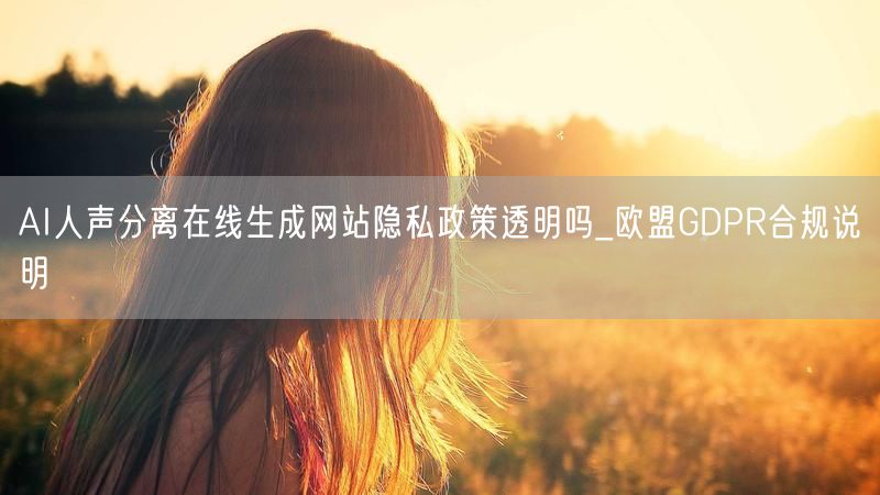 AI人声分离在线生成网站隐私政策透明吗_欧盟GDPR合规说明