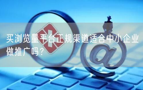 买浏览量平台正规渠道适合中小企业做推广吗？