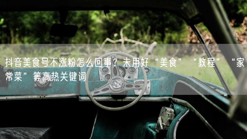 抖音美食号不涨粉怎么回事？未用好“美食”“教程”“家常菜”等高热关键词