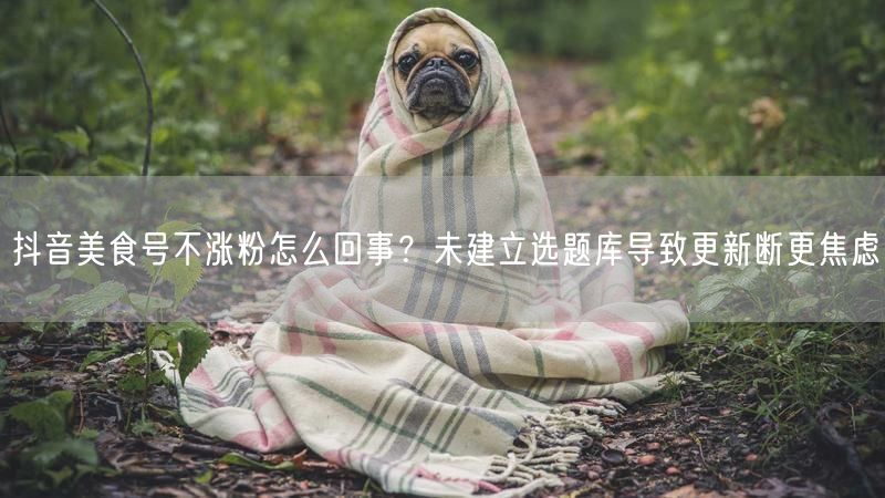 抖音美食号不涨粉怎么回事？未建立选题库导致更新断更焦虑