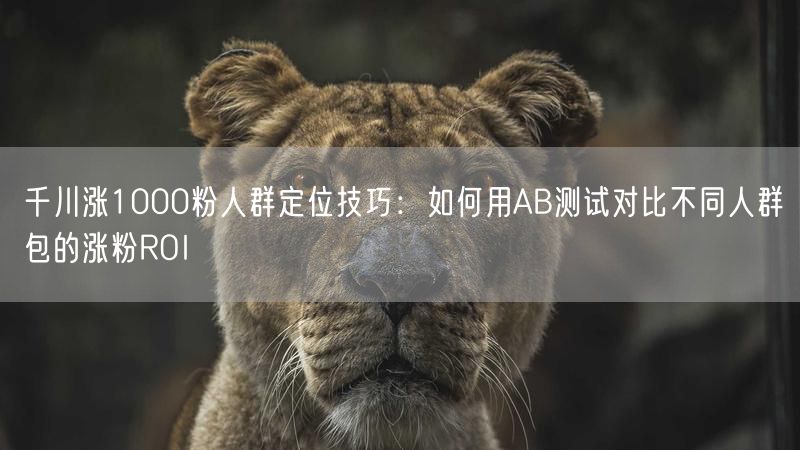 千川涨1000粉人群定位技巧：如何用AB测试对比不同人群包的涨粉ROI